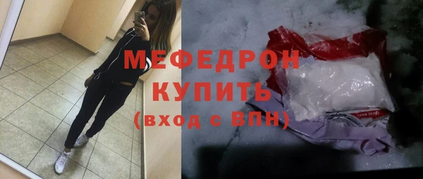 стаф Магас