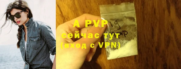 спиды Магадан