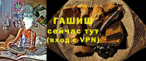 стаф Магас
