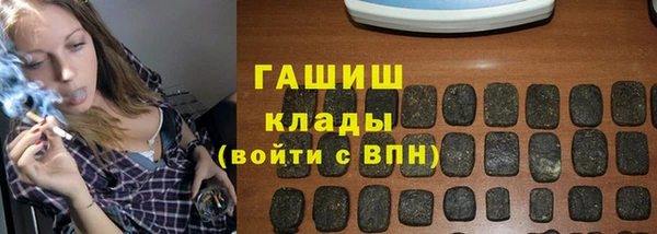 стаф Магас