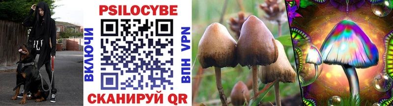 Купить закладки  Нолинск  Псилоцибиновые грибы MAGIC MUSHROOMS 